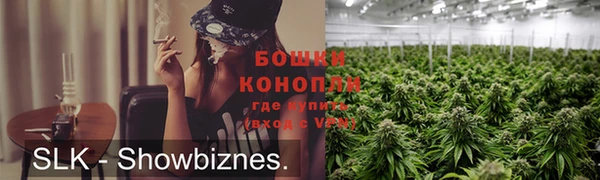 прущие грибы Алзамай