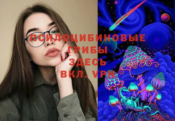прущие грибы Алзамай