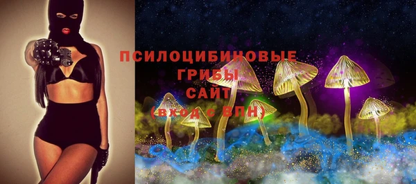 МДПВ Алексин