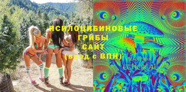 МДПВ Алексин
