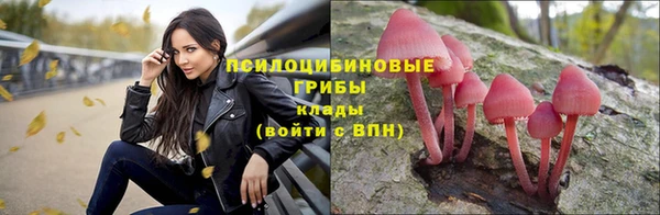 прущие грибы Алзамай